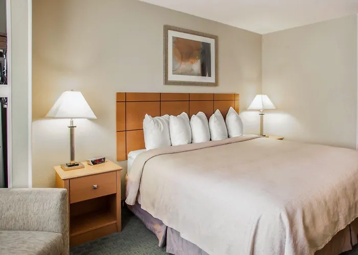 Quality Decatur Inn